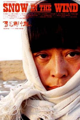 雪花那個(gè)飄2006[電影解說(shuō)]